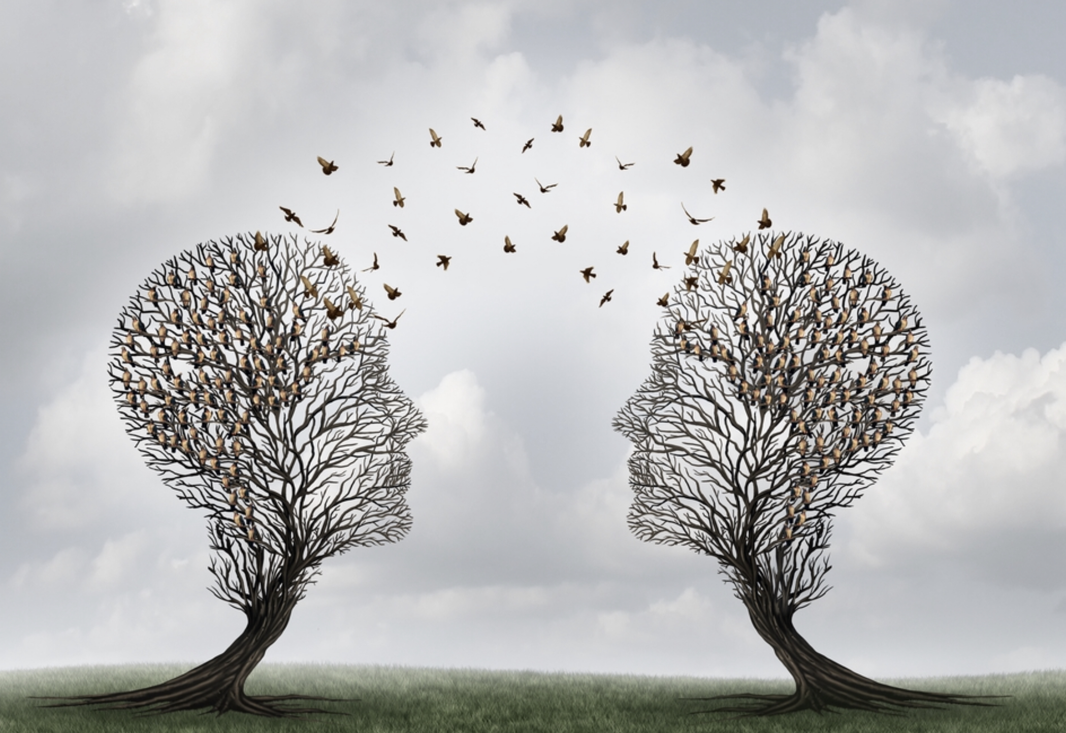 Thealphswarmer communication models